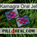 Kamagra Oral Jel 15